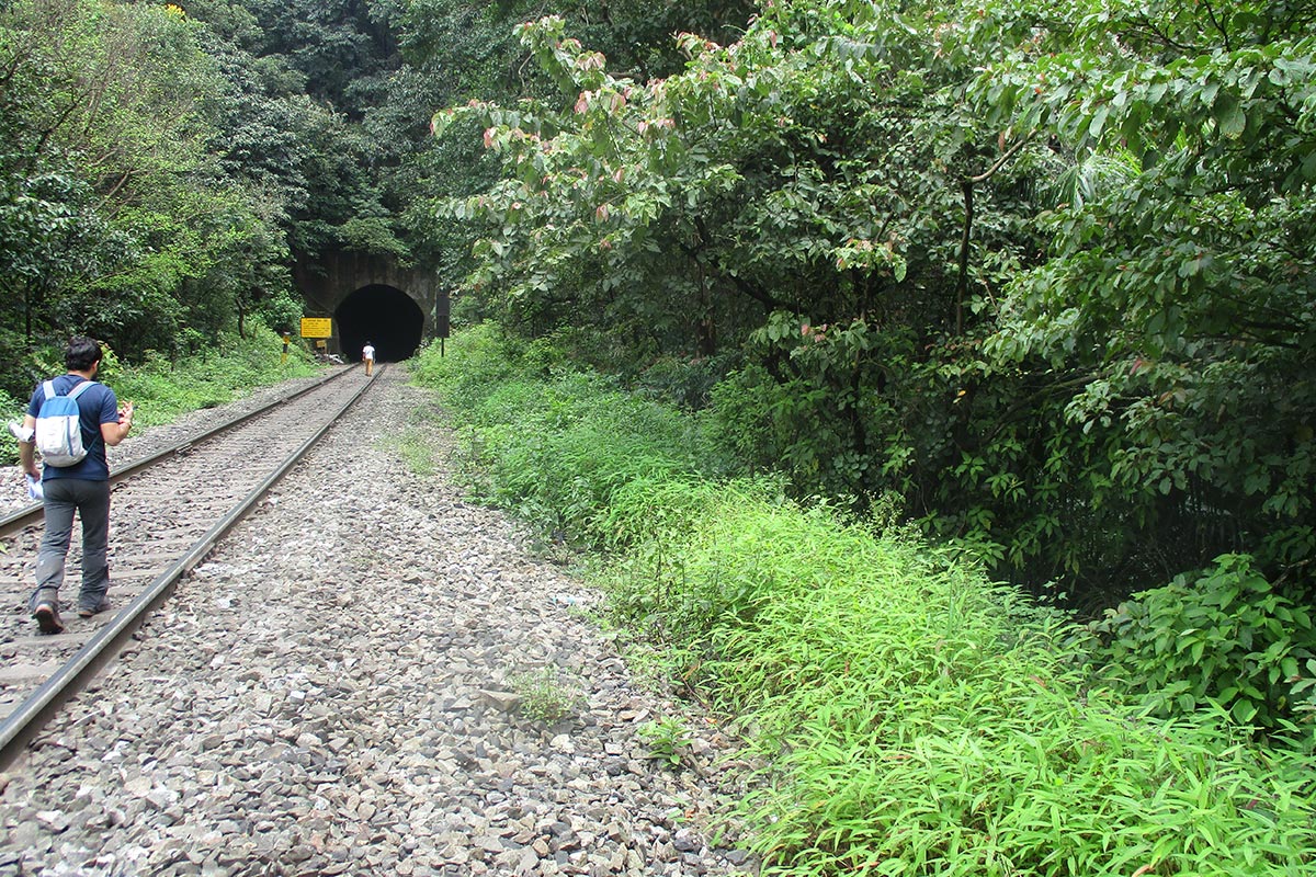 Castle Rock Kulem Demiryolu G8