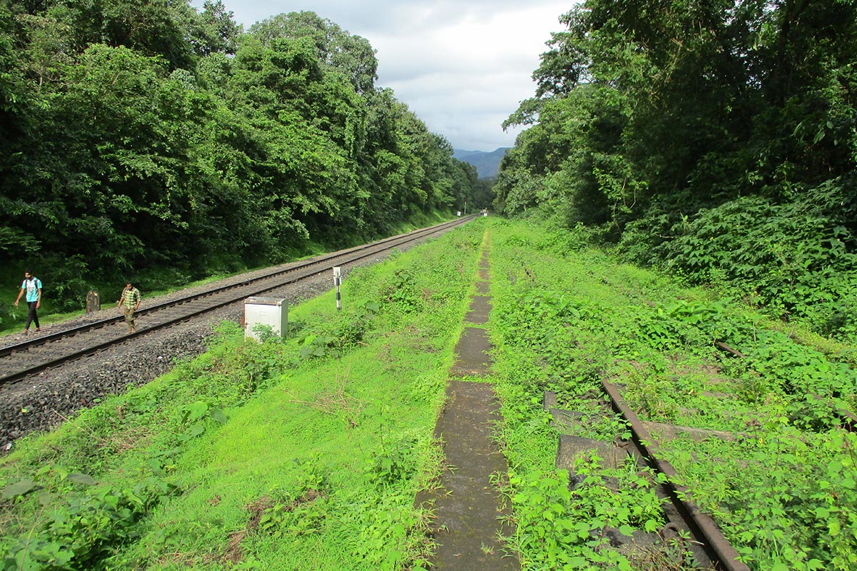 Castle Rock Kulem Demiryolu G1